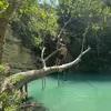 Dylan Mann - @dylannmann - TikTok