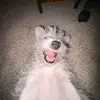 Dylan Mann - @dylan.mann2 - TikTok