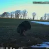 Dylan Mann - @dylan.mann5 - TikTok