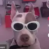 Dylan Mann - @username099123 - TikTok