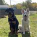 Dylan Masters - Facebook
