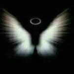 dylanmaples1@yahoo.com - @dylanmaples48 - Instagram