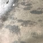 dylan.marini31 - @dylan.marini31 - Instagram