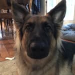 Dylan Markham - @thecornaddict - Instagram