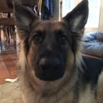 Dylan Markham - @onioneater2711 - Instagram