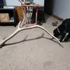 dylanmarkley249 - @dylanmarkley249 - TikTok