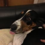 Dylan Marty - @sentient_bushplant - Instagram