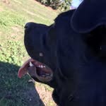 Dylan Masson - @dylan.masson.14 - Instagram