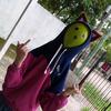 Dylan master pro XD - @dylanmasterproxd - TikTok