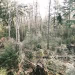 niet in gebruik - @dylan.mast.737 - Instagram