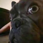 dylan - @dylan.mathess - Instagram