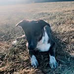 Dylan Mathes - @dylanmathes52 - Instagram