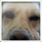 Dylan Maxfield - Facebook