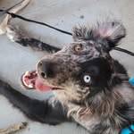 Dylan Mayberry - @dylanmayberry02 - Instagram