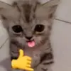 Dylan Mayor - @dylan.mayor0 - TikTok