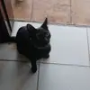 La bella - @dylanmayorga979 - TikTok