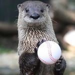 Dylan Mays - @big_otter71 - Instagram
