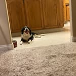 Dylan Mazza - @dylan_mazza_52 - Instagram