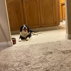 Dylan Mazza - Facebook