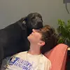 Dylan McCallon - @bigd1705 - TikTok