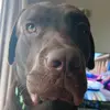 Dylan McBride - @dylan.mcbride23 - TikTok