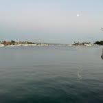 Dylan McCants - @dylan.marinebio - Instagram