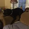 Dylan McClain - @dylan.mcclain678 - TikTok