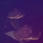 Dylan McCluskey - @dylan_mccluskey333 - Instagram