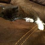 Dylan Mccombs - @dyan.mccombs.1 - Instagram