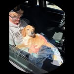 Dylan Levi McCord - @dylan_mccord - Instagram