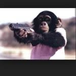 Dylan Mcelhaney - @monkeys_75 - Instagram