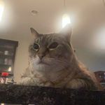 dylan mcewen - @dylan_mcewen12 - Instagram