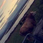 Dylan_Mcfadden - @dylanmcfadden04 - Instagram