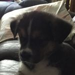 Dylan Mcfadden - @mcfadden_dylan6487 - Instagram