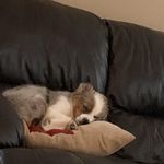 Dylan McFadden - @dylanmcfadden3 - Instagram