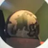 Dylan McFadden - @dylan.mcfadden - TikTok