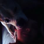 Dylan - @dylanmcgaha - Instagram