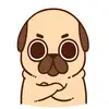Dylan McKeown - @d.j.pug1 - TikTok
