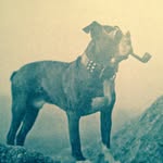 Dylan Mckinstry - @dylanjaret - Instagram