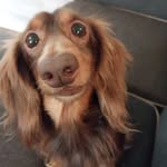 Dylan Meadows - @meadowsdylan3 - Instagram