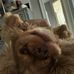 Dylan Merlo - Facebook