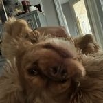 Dylan Merlo - @dylan_merlo1 - Instagram