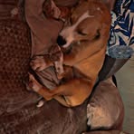 Dylan Messer - Facebook