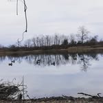 Dylan Messer - @d_dog_77 - Instagram