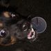 Dillon Metzger - Facebook