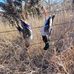 Dylan Metzger - Facebook