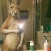 dylan_ molina - @dylan_molina_2010 - TikTok