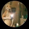 Dylan Molina - @dylan.molina353 - TikTok