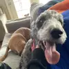 Dylan Morales - @dylan.morales859 - TikTok