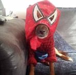 Dylan Morton - Facebook